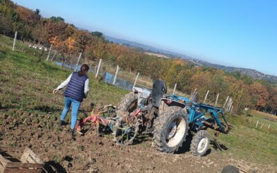 Wycieczka do Gruszowa